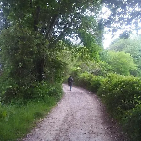 Privat bolig Casa De Aldea La Galeria Habitacion En Casa De Aldea